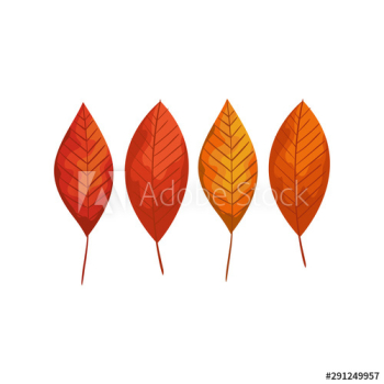 season autumn leafs icon season autumn leafs icon