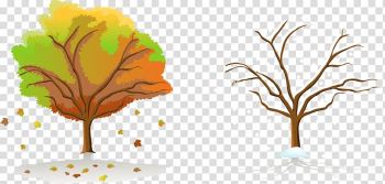 Season Tree Autumn, Autumn and winter trees transparent background PNG clipart Season Tree Autumn, Autumn and winter trees transparent background PNG clipart