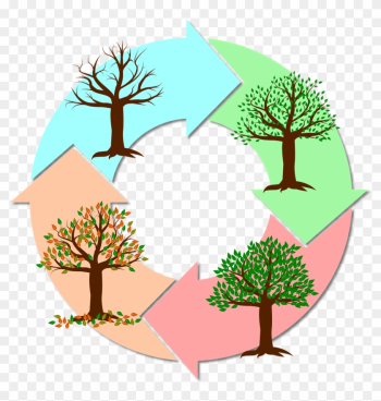 Seasons Of The Year Year Tree Nature Autumn Winter - Estações Do Ano Png Seasons Of The Year Year Tree Nature Autumn Winter - Estações Do Ano Png