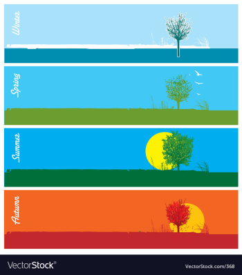 Seasons vector image Seasons vector image
