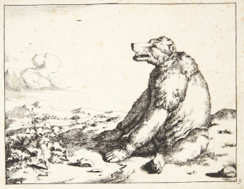 Seated bear, facing left by Marcus | Free Photo - rawpixel Seated bear, facing left by Marcus | Free Photo - rawpixel