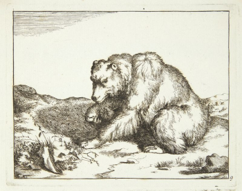 Seated bear, facing left by Marcus | Free Photo - rawpixel Seated bear, facing left by Marcus | Free Photo - rawpixel