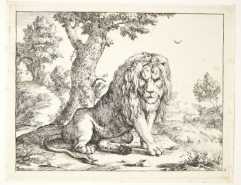 Seated lion by Marcus de | Free Photo - rawpixel Seated lion by Marcus de | Free Photo - rawpixel
