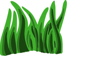 Seaweed Animation , Rumput Animasi transparent background PNG clipart Seaweed Animation , Rumput Animasi transparent background PNG clipart