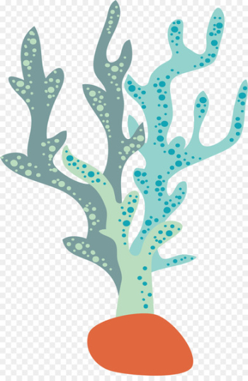 Seaweed Aquatic plant - Light - colored seaweed vector Seaweed Aquatic plant - Light - colored seaweed vector
