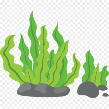 Seaweed Clip art - Green background Seaweed Clip art - Green background