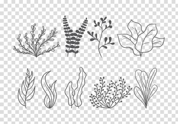 Seaweed Leaf, sea element transparent background PNG clipart Seaweed Leaf, sea element transparent background PNG clipart