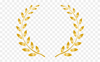 Seeing Double Is 50 Shades Of Seriously Dark S*** - Moldura Arabesco Dourado Png Seeing Double Is 50 Shades Of Seriously Dark S*** - Moldura Arabesco Dourado Png