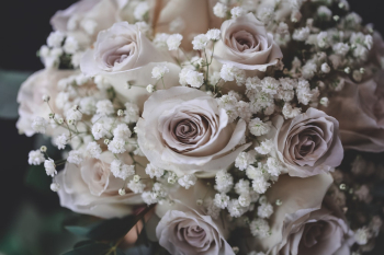 Selective Focus Photo of Rose Bouquet Selective Focus Photo of Rose Bouquet