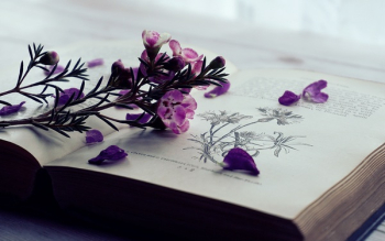Selective Focus Photography of Purple Flowers on Book Page