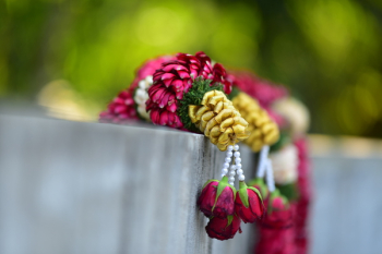 Selective Focus Photography of Red Rose Flower Decor Selective Focus Photography of Red Rose Flower Decor