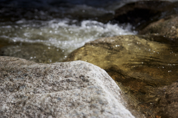 Selective Focus Photography of Stream Selective Focus Photography of Stream