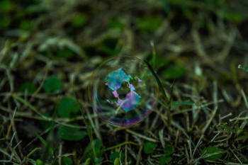 Selective Focus Photography or Iridescent Bubble Selective Focus Photography or Iridescent Bubble