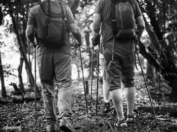 Seniors trekking in a forest | Free stock photo - 416730 Seniors trekking in a forest | Free stock photo - 416730