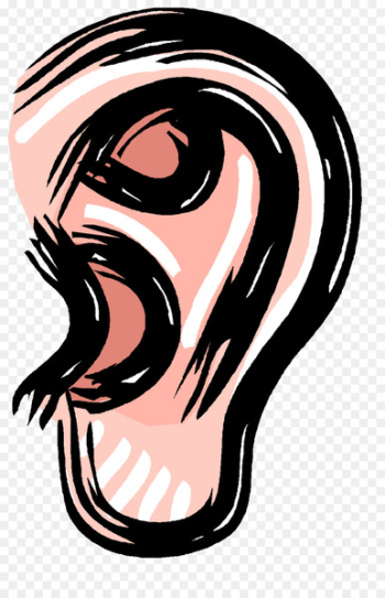 Sense Visual perception Sensory nervous system Sensation - lexicology badge 