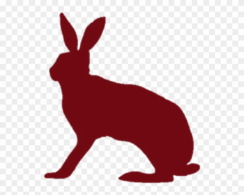 Sensitivity, Sensuality And A Love Of Esthetics And - Hare Sensitivity, Sensuality And A Love Of Esthetics And - Hare