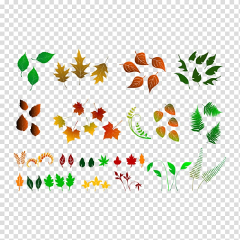 Sessile Oak Quercus pubescens Leaf, autumn leaves transparent background PNG clipart