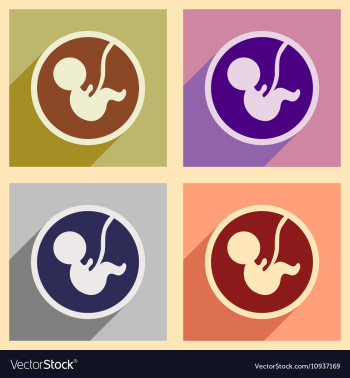 Set flat icons with long shadow child in womb vector image