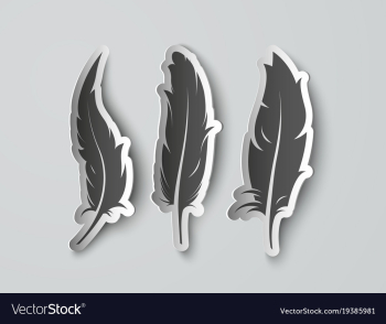 Set isolated paper feathers with shadows vector image Set isolated paper feathers with shadows vector image