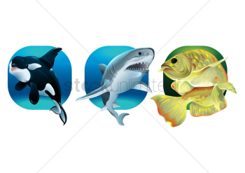 Set of aquatic animals Set of aquatic animals