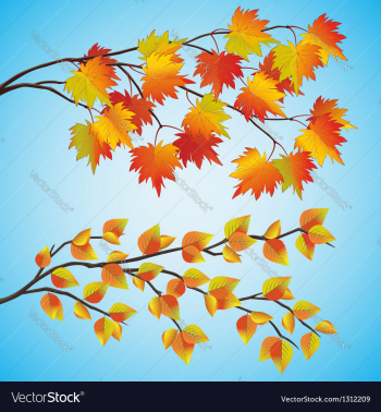Set of autumn tree vector image Set of autumn tree vector image