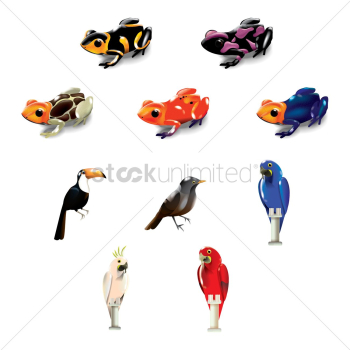 Set of brazil frogs and birds Set of brazil frogs and birds