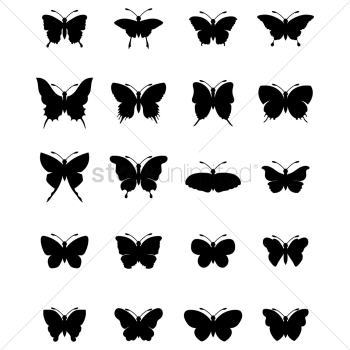 Set of butterflies Set of butterflies