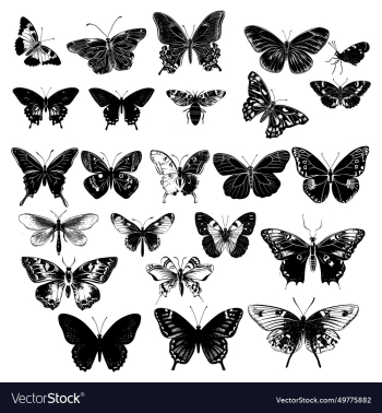 set of butterflies isolated