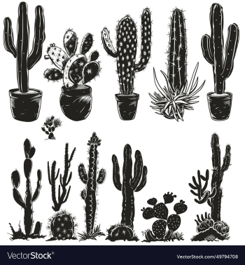 set of cactus silhouette