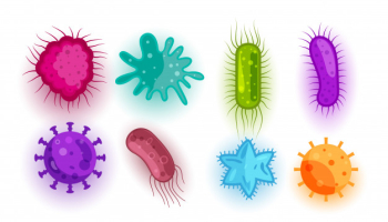 Set of different virus and bacteria shapes Free Vector Set of different virus and bacteria shapes Free Vector