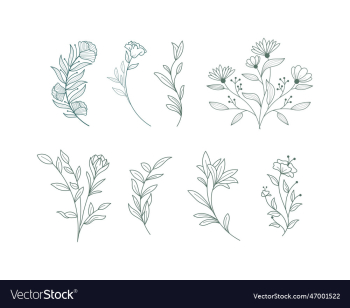 set of elegant floral logo elements borders