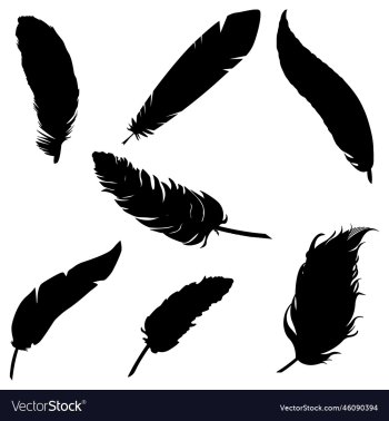 set of feather silhouette set of feather silhouette
