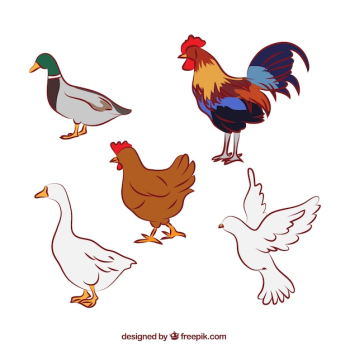 Set of five farm animals Set of five farm animals