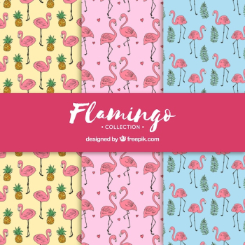 Set of flamingos patterns with plants Set of flamingos patterns with plants