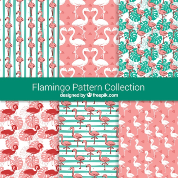 Set of flamingos patterns with plants Set of flamingos patterns with plants