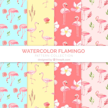 Set of flamingos patterns with plants Set of flamingos patterns with plants