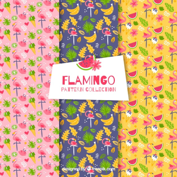 Set of flamingos patterns with plants and fruits
