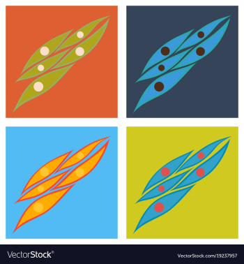Set of flat showing type of muscle cells vector image Set of flat showing type of muscle cells vector image