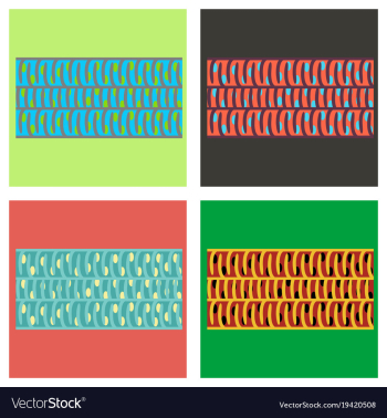 Set of flat showing type of muscle cells vector image Set of flat showing type of muscle cells vector image