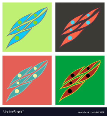 Set of flat showing type of muscle cells vector image Set of flat showing type of muscle cells vector image