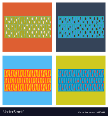 Set of flat showing type of muscle cells vector image Set of flat showing type of muscle cells vector image