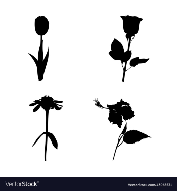 set of four different flowers silhouette set of four different flowers silhouette