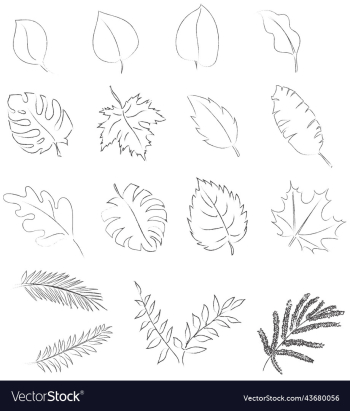 set of hand-drawn leaves doodles icons