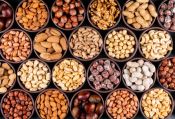 Set of pecan, pistachios, almond, peanut, cashew, pine nuts and lined up assorted nuts and dried fruits in a mini different bowls Free Photo