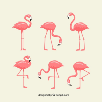 Set of pink flamingos with different poses Set of pink flamingos with different poses