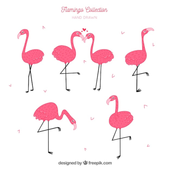 Set of pink flamingos with different postures