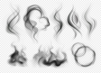 Set of realistic grey smoke and steam from coffee tea cigarettes or hot food isolated on transparent background Free Vector