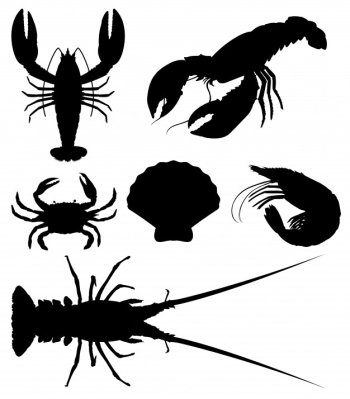 Set of silhouette seafood Set of silhouette seafood
