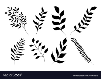 set of silhouettes of stems with with leaves