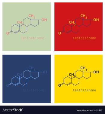 Set of testosterone male sex hormone androgen vector image Set of testosterone male sex hormone androgen vector image